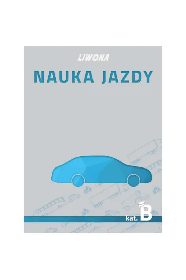 Nauka jazdy. Kategoria B - Marek Tomaszewski, Mariusz Wasiak, Zbigniew Papuga