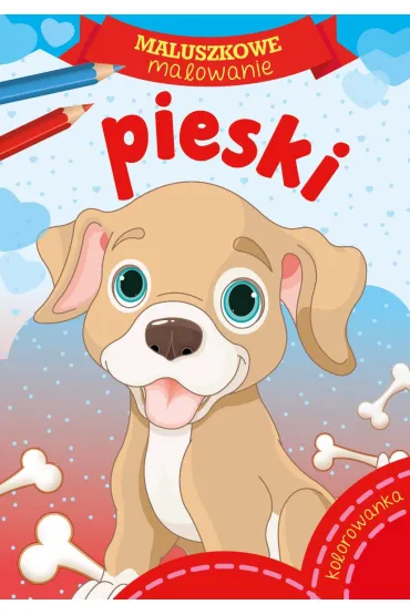 Pakiet dla przedszkolaka. Maluszkowe malowanie: Zabawki, Ptaki, Pieski, Owoce + Kredki Bambino - Pakiety na nagrody