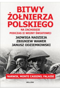 Bitwy onierza polskiego na zachodzie podczas ii wojny wiatowej narwik monte cassino falaise