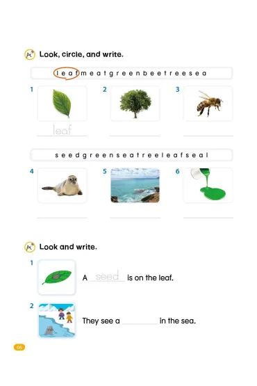 School Phonics 4. Workbook - Grace Hwang, Sonya Park