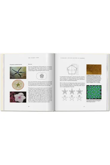 The Secret Code - Priya Hemenway