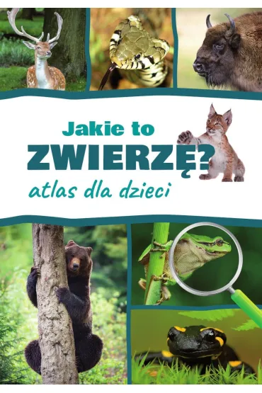 Jakie to zwierz�? Atlas dla dzieci - Jacek Twardowski, Kamila Twardowska