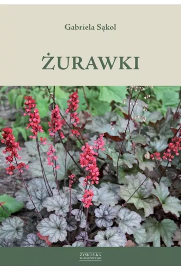 �urawki - Gabriela S�kol