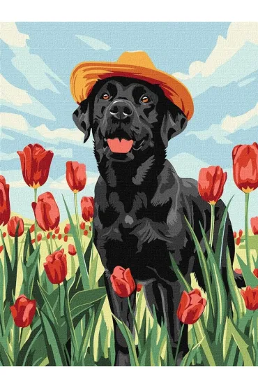 Ideyka Malowanie po numerach - Uroczy labrador 30x40cm