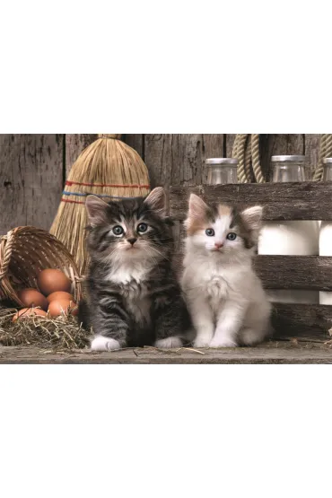 Puzzle 1000 el. Lovely Kittens Clementoni