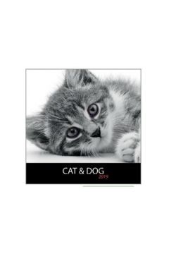 Kalendarz 2019 13 pl. 30x30 szyty Cat&Dog DAN-MARK