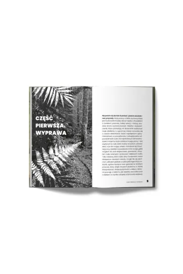Schronienia Biwaki i improwizowane noclegi - Bartosz  Guentzel
