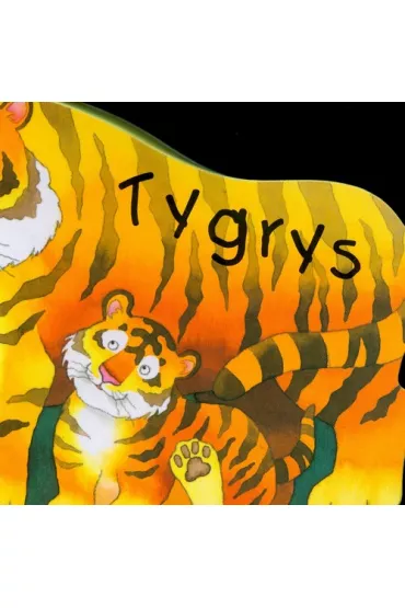 Tygrys