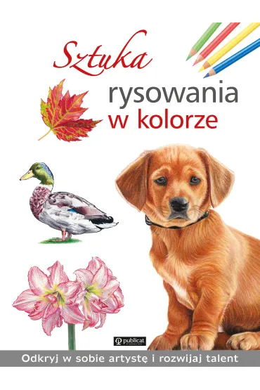 Sztuka rysowania w kolorze