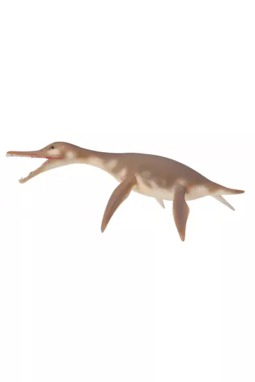 Collecta. Dinozaur Dolichorhync