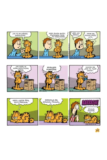 Garfield. T�usty koci tr�jpak. Tom 8 - Jim Davis