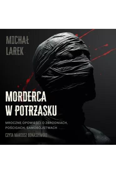 Audiobook Morderca w potrzasku mp3 - Micha Larek
