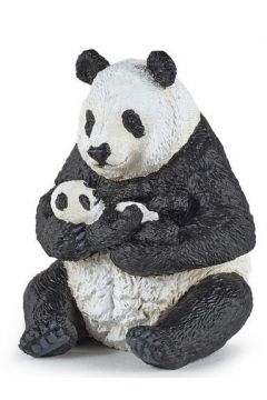 Panda z modym siedzca