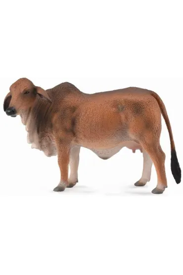 COLLECTA KROWA CZERWONA BRAHMAN ROZMIAR L BPZ