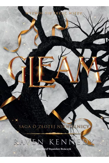 Gleam - Raven Kennedy
