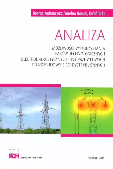 Analiza mo�liwo�ci wykorzystania pas�w technolog. - Wies�aw Nowak, Konrad Kochanowicz, Rafa� Tarko