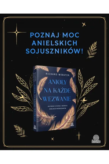 Anio�y na ka�de wezwanie. Jak prosi� o pomoc i wsparcie anielskich przewodnik�w - Richard Webster