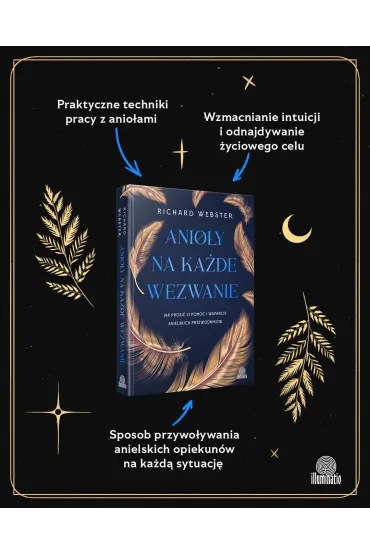 Anio�y na ka�de wezwanie. Jak prosi� o pomoc i wsparcie anielskich przewodnik�w - Richard Webster