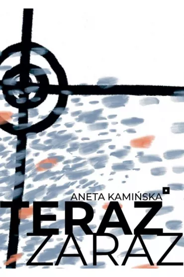 Teraz zaraz - Aneta Kami�ska