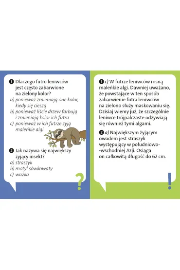 Dlaczego leniwiec jest leniwy? - Anke K�pper