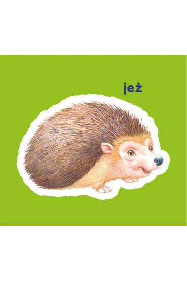 Zwierz�ta le�ne