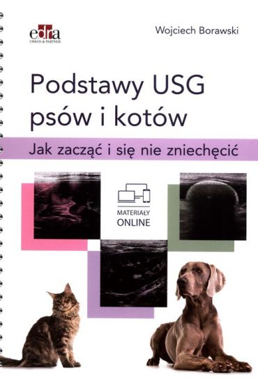 Podstawy USG psów i kotów. Jak zacząć i się nie zniechęcić