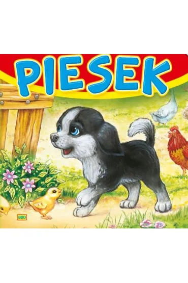 Sztywne strony kwadrat. Piesek 800