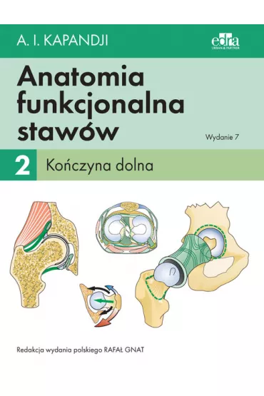 Ko�czyna dolna. Anatomia funkcjonalna staw�w. Tom 2 - Adalbert Ibrahim Kapandji