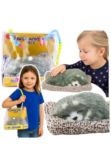 �pi�cy husky na poduszce d�wi�k