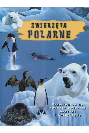 Zwierz�ta polarne