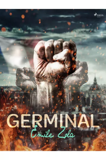 eBook Germinal mobi epub - Emil Zola