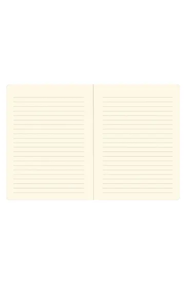 Notatnik Midi Porcelanowe Wazy Peter Pauper Press 80 kartek