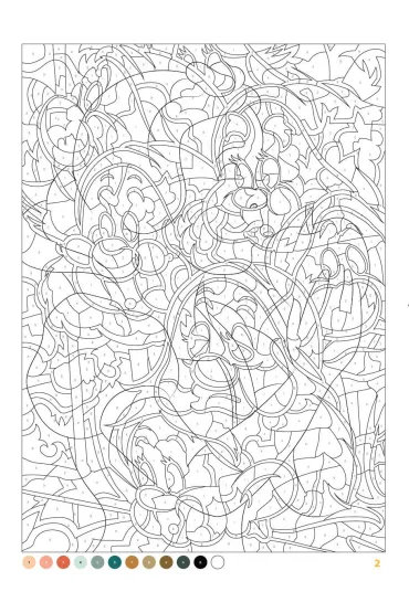 Disney. Portrety. Iluzje optyczne. Zagadkowe rysunki. Art therapy. Kolorowanka antystresowa