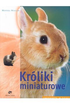 Kr�liki miniaturowe Zwierz�ta w domu - Monika Wegler - Monika Wegler