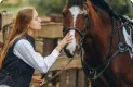 koniara