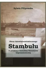 Obraz dziewitnastowiecznego Stambuu w polskiej i