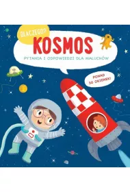 Kosmos. Dlaczego?