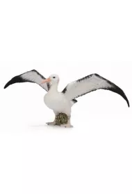 Albatros w�drowny