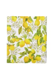 Adresownik Du�y Cytryny z Amalfi Peter Pauper Press