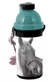 Paso horse Bidon Horse