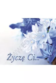 ycz Ci...Pereka 188