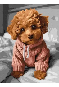 Ideyka Malowanie po numerach - Magiczny Maltipoo 30x40cm