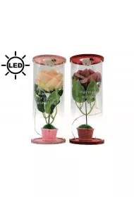 Adar R�a w tubie LED MIX