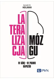 Lateralizacja m�zgu. W g�r� – w prawo - naprz�d