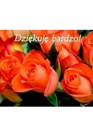 Dziekuj� bardzo. Pere�ka