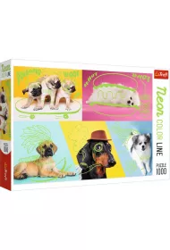 Puzzle 1000 el. Neon Color Line. Odlotowe psy Trefl