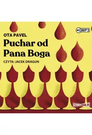 Audiobook Puchar od Pana Boga CD