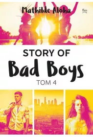 Story of Bad Boys. Tom 4