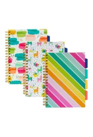 Pukka Pad Pukka Project Book Colour Wash B5 linia 100 kartek 3 szt.