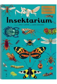 Insektarium. Muzeum Owadw